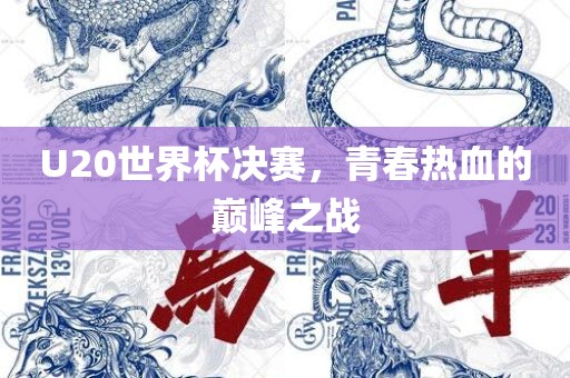 U20世界杯决赛，青春热血的巅峰之战