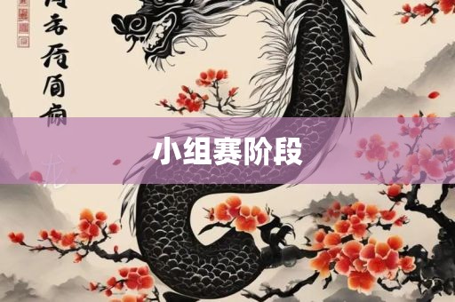 小组赛阶段