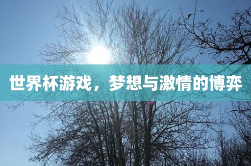 世界杯游戏，梦想与激情的博弈