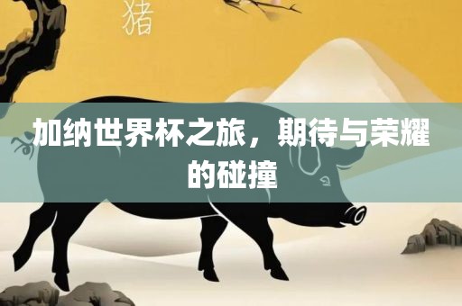 加纳世界杯之旅，期待与荣耀的碰撞漯河市盈旭机械设备有限公司