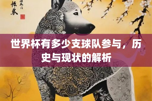 世界杯有多少支球队参与，历史与现状的解析