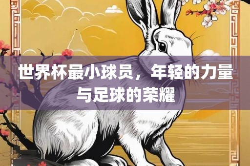 世界杯最小球员，年轻的力量与足球的荣耀