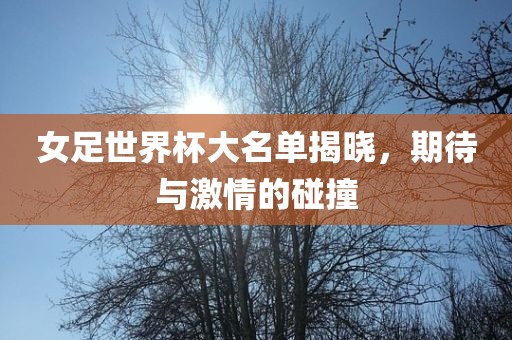 女足世界杯大名单揭晓，期待与激情的碰撞漯河市盈旭机械设备有限公司