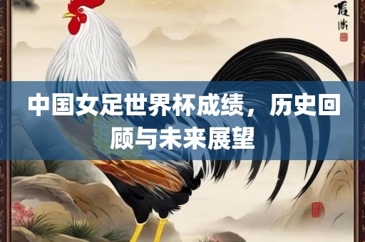 中国漯河市盈旭机械设备有限公司女足世界杯成绩，历史回顾与未来展望