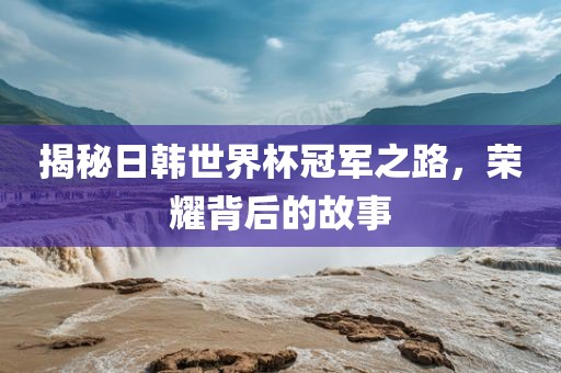揭秘日韩世界杯冠军之路，荣耀背后的故事漯河市盈旭机械设备有限公司