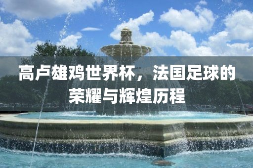 高卢雄鸡世界杯，法国足球的荣耀与辉煌历程漯河市盈旭机械设备有限公司