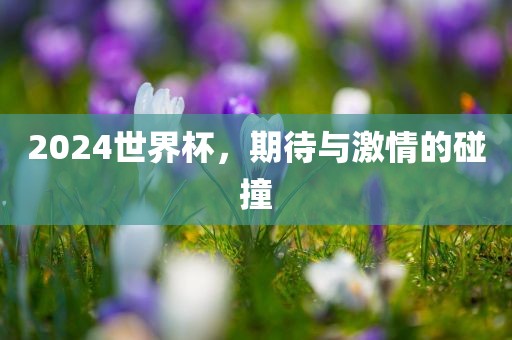 2024世界杯，期待与激情的碰撞