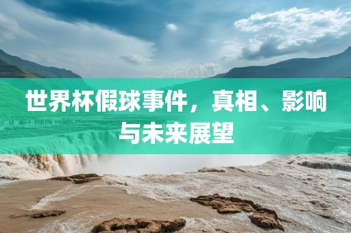 世界杯假球事件，真相、影响与未来展望