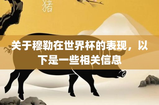 关于穆勒在世界杯的表现，以下是一些相关信息漯河市盈旭机械设备有限公司
