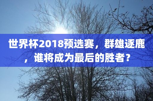 世界杯2018预选赛，群雄逐鹿，谁将成为最后的胜者？