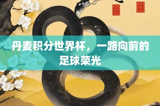 丹麦积分世界杯，一路向前的足球荣光