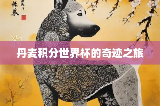 丹麦积分世界杯的奇迹之旅漯河市盈旭机械设备有限公司