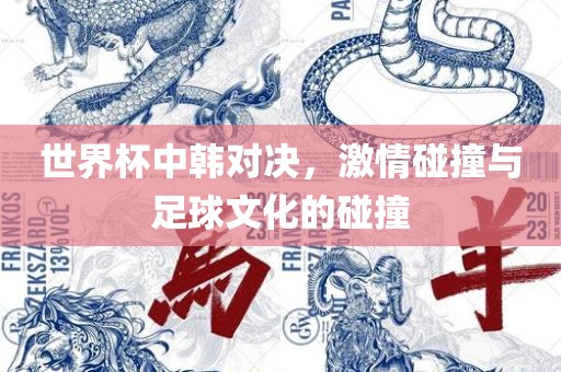 世界杯中韩对决，激情碰撞与足球文化的碰撞