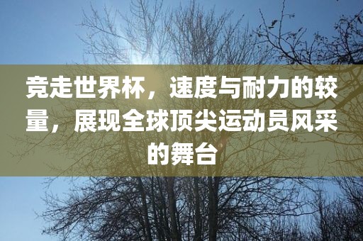 竞走世界杯，速度与耐力的较量，展现全球顶尖运动漯河市盈旭机械设备有限公司员风采的舞台