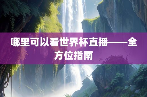 哪里可以看世界杯直播——全方位指南漯河市盈旭机械设备有限公司