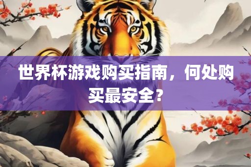 世界杯游戏购买指南，何处购买最安全？漯河市盈旭机械设备有限公司
