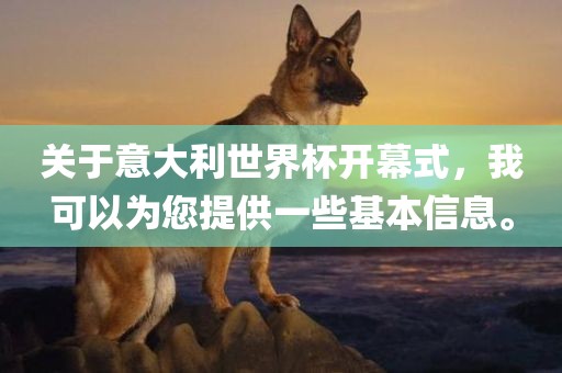 关于意大利世界杯开幕式，我可以为您提供一些基本信息。