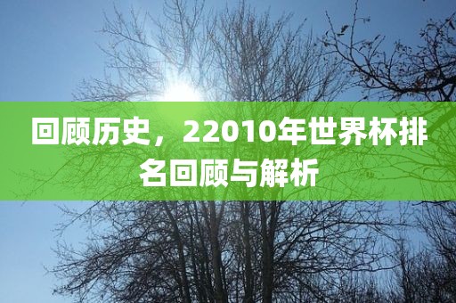 回顾历史，22010年世界杯排名回顾与解析
