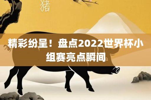 精彩纷呈！盘点2022世界杯小组赛亮点瞬间漯河市盈旭机械设备有限公司