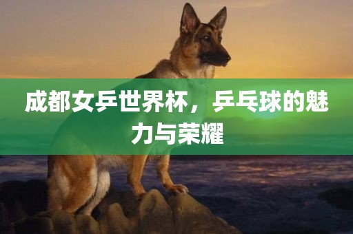 成都女乒世界杯漯河市盈旭机械设备有限公司，乒乓球的魅力与荣耀
