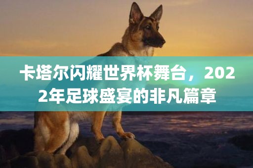 卡塔尔闪耀世界杯舞台，2022年足球盛宴的非凡篇章