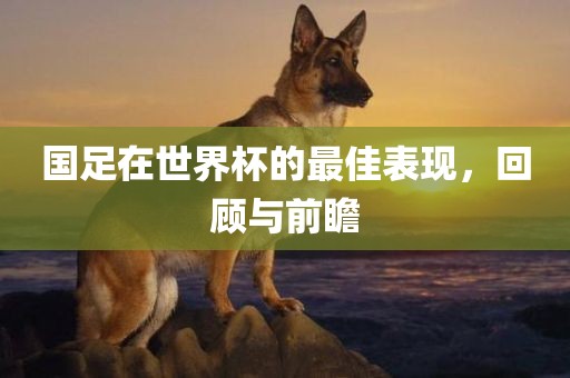国足在世界杯的最佳表现，回顾与前瞻