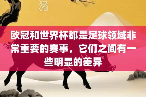 欧冠和世界杯都是足球领域非常重要的赛事，它们之间有一些明显的差异漯河市盈旭机械设备有限公司