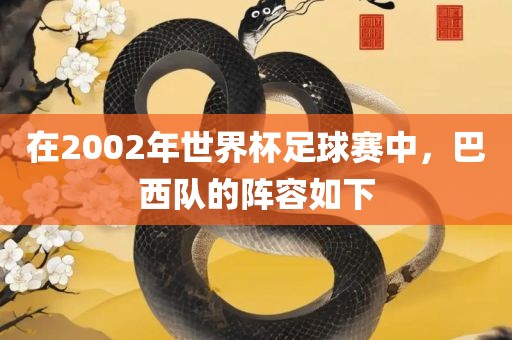 在2002年世界杯足球赛中，巴西队的阵容如下漯河市盈旭机械设备有限公司