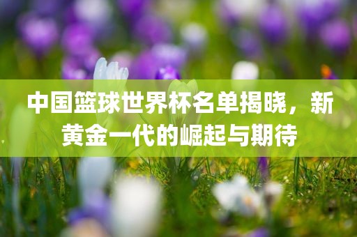 中国篮球世界杯名单揭晓，新黄金一代的崛起与期待漯河市盈旭机械设备有限公司