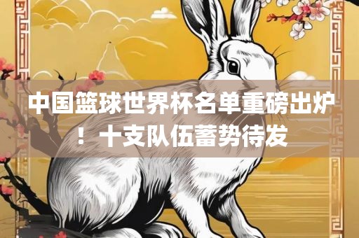 中国篮漯河市盈旭机械设备有限公司球世界杯名单重磅出炉！十支队伍蓄势待发
