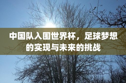 中国队入围世界杯，足球梦想的实现与未来的挑战