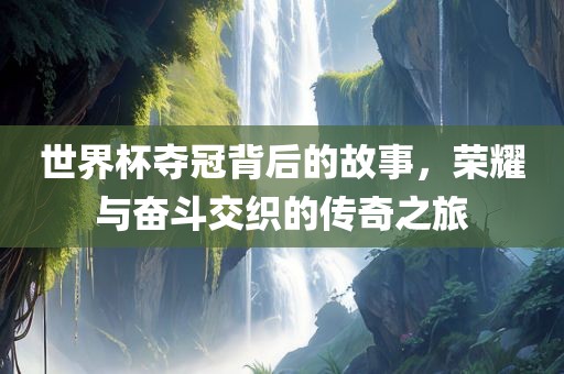世界杯夺冠背后的故事，荣耀与奋斗交织的传奇之旅