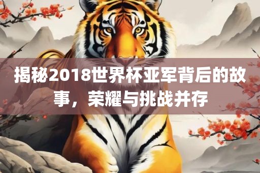 揭秘2018世界杯亚军背后的故事，荣耀与挑战并存