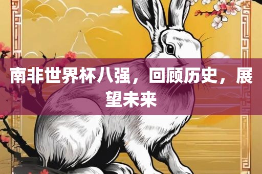 南非世界杯八强，回顾历史，展望未来