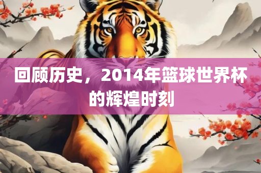 回顾历史，2014年篮球世界杯的辉煌时刻