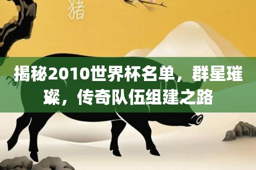 揭秘2010世界杯名单，群星璀璨，传奇队伍组建之路