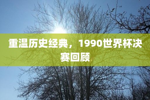 重温历史经典，1990世界杯决赛回顾漯河市盈旭机械设备有限公司