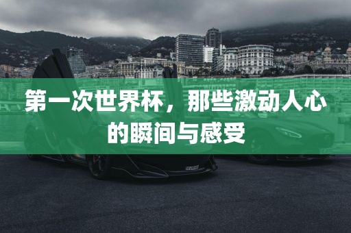 激动人心的瞬间与感受