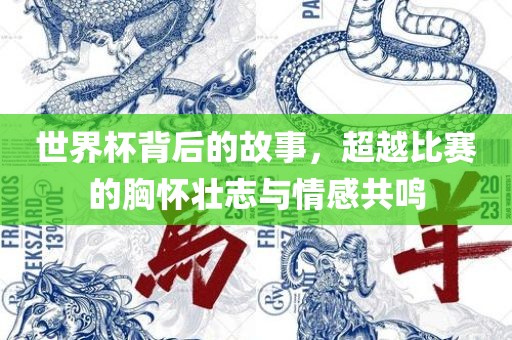 世界杯背后的故事，超越比赛的胸怀壮志与情感共鸣