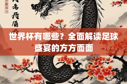 世界杯有哪些？全面解读足球盛宴的方方面面