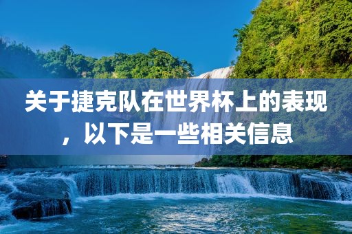 关于捷克队在世界杯上的表现，以下是一些相关信息