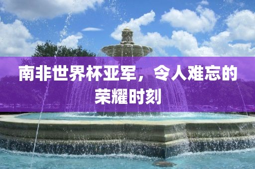 南非世界杯亚军，令人难忘的荣耀时刻