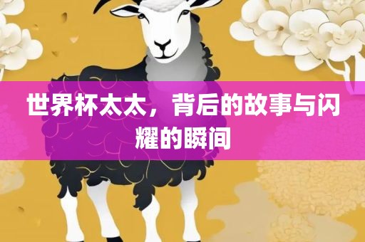 世界杯太太，背后的故事与闪耀的瞬间