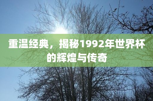 重温经典，揭秘1992年世界杯的辉煌与传奇