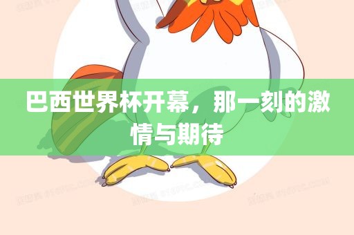 巴西世界杯开幕，那一刻的激情与期待漯河市盈旭机械设备有限公司