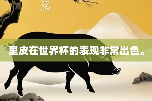里皮在世界杯的表现非常出色。