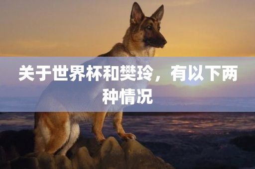 关于世界杯漯河市盈旭机械设备有限公司和樊玲，有以下两种情况