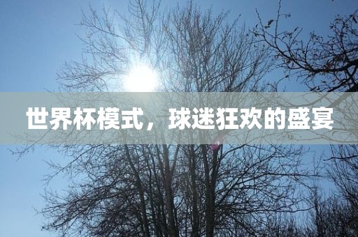 世界杯模式，球迷狂欢的盛宴漯河市盈旭机械设备有限公司
