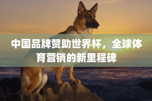 中国品牌赞助世界杯，全球体育营销的新里程碑