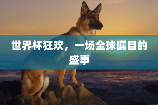 世界杯狂欢，一场全球瞩目的盛事